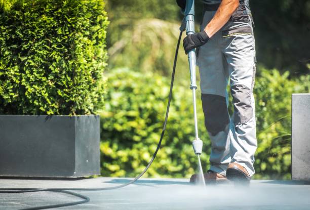 Best Driveway Pressure Washing  in Druid Hills, GA